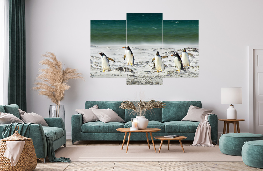 Tučňáci na procházce